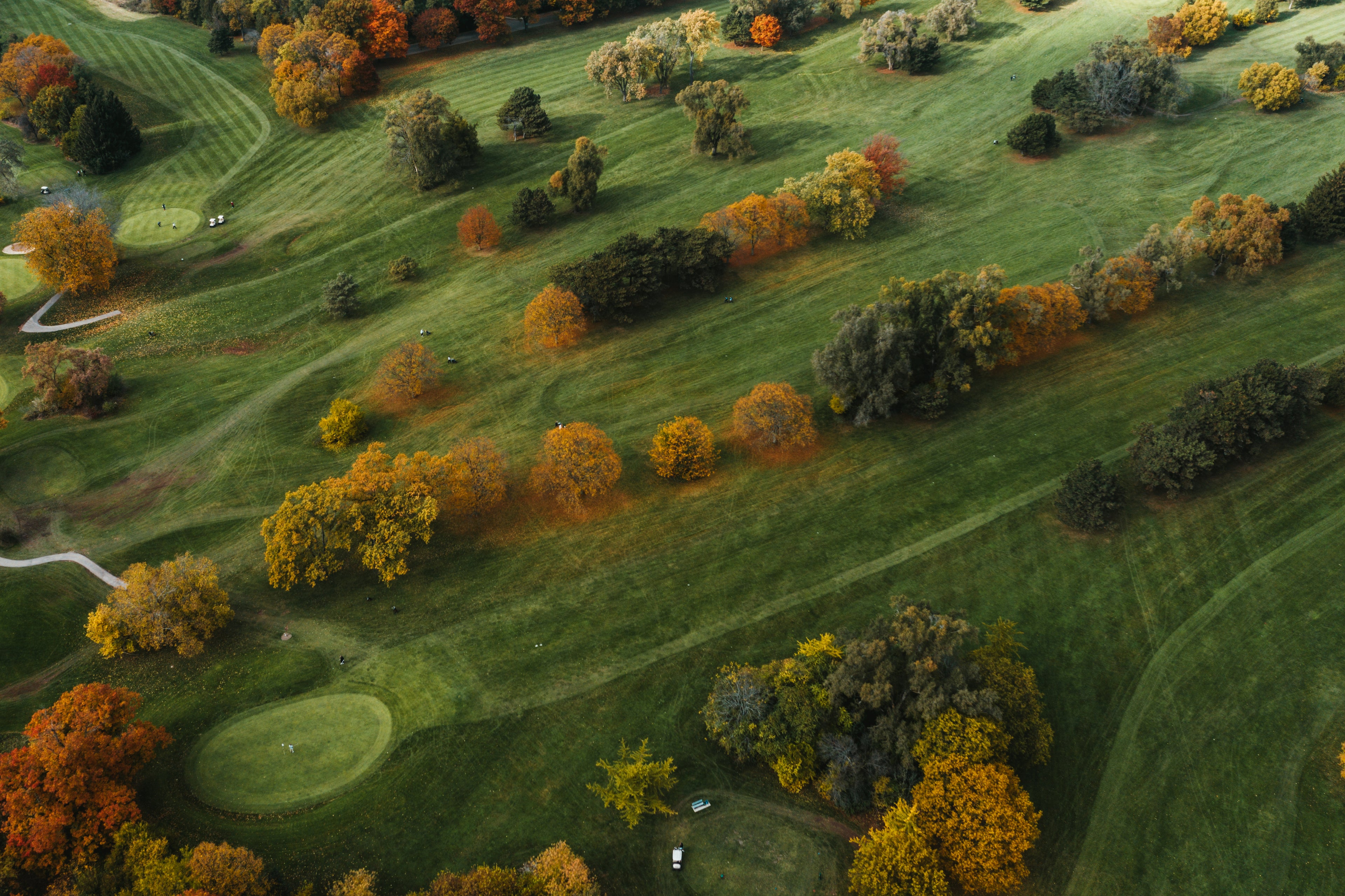 Blue Ridge Golf Co. | Elevate Your Golfing Style