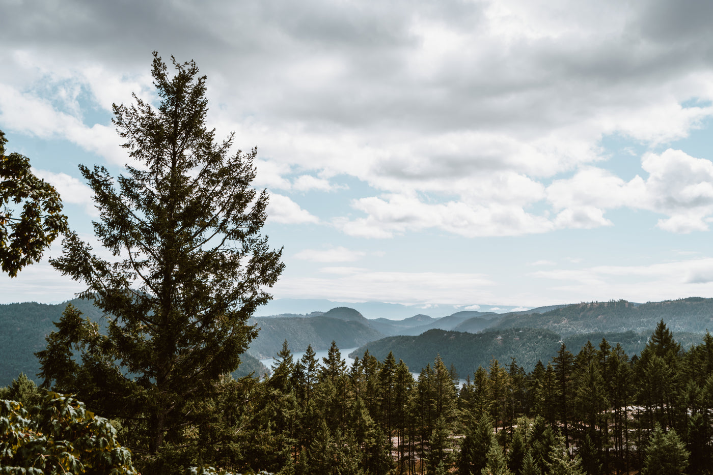 Blue Ridge Golf Co Inspiration